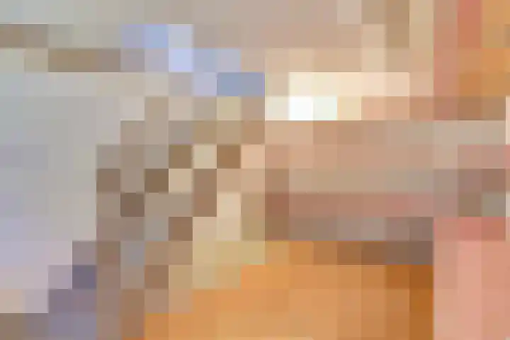 Molenstraat 46 Maasbree thumbnail 27