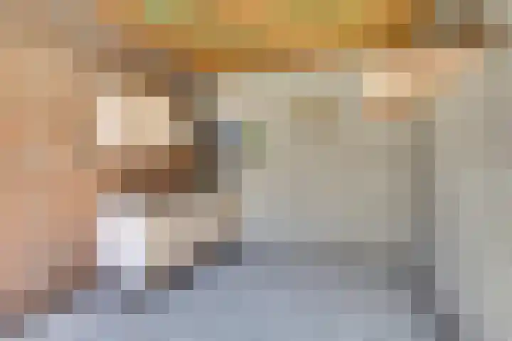 Molenstraat 46 Maasbree thumbnail 31