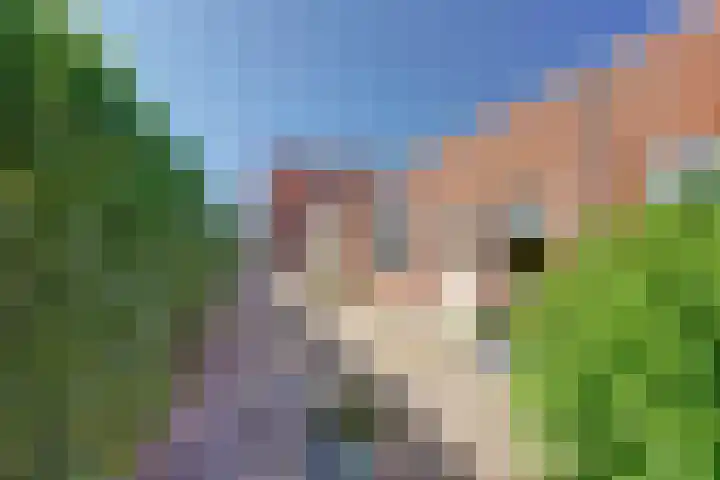 Molenstraat 46 Maasbree thumbnail 35