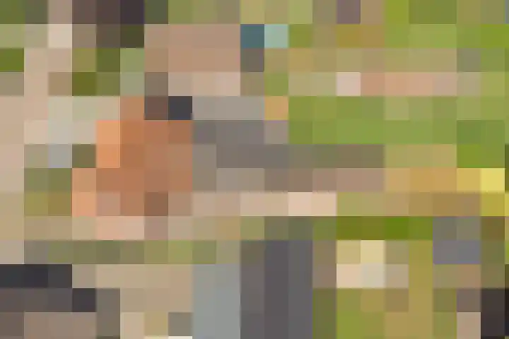 Molenstraat 46 Maasbree thumbnail 4