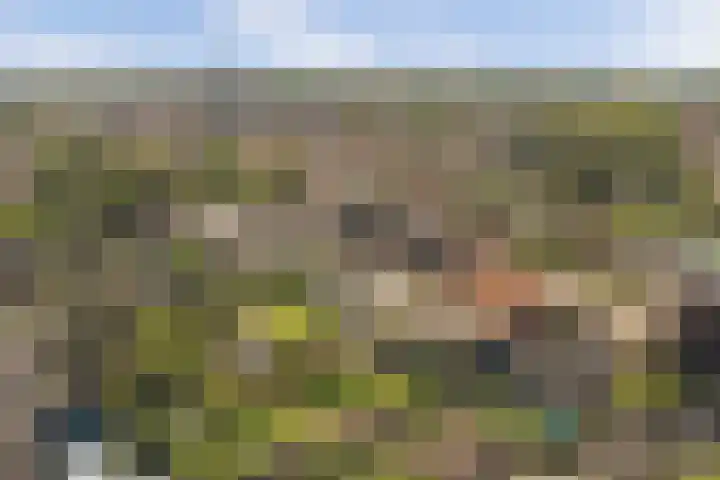 Molenstraat 46 Maasbree thumbnail 42