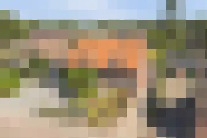 Molenstraat 46 Maasbree thumbnail 45