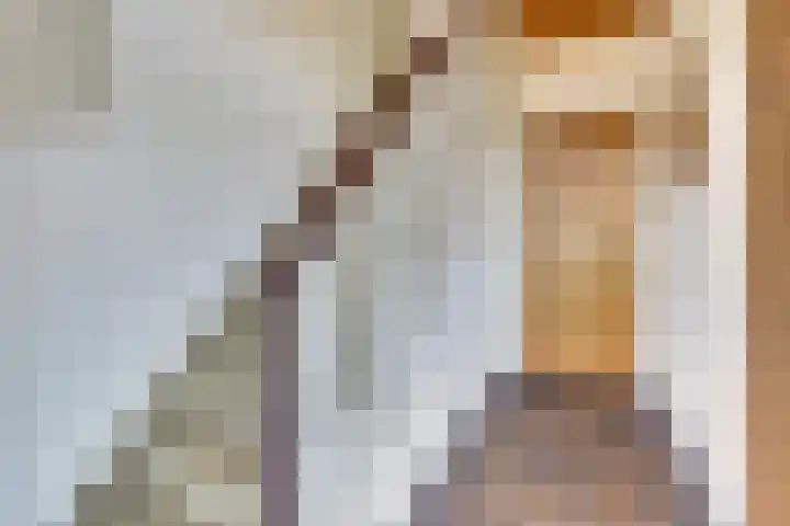 Molenstraat 46 Maasbree thumbnail 6