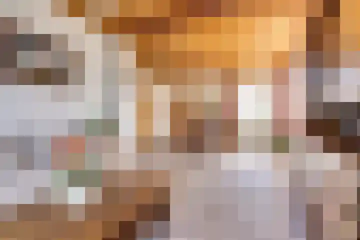 Molenstraat 46 Maasbree thumbnail 8