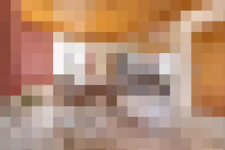 Molenstraat 46 Maasbree thumbnail 9