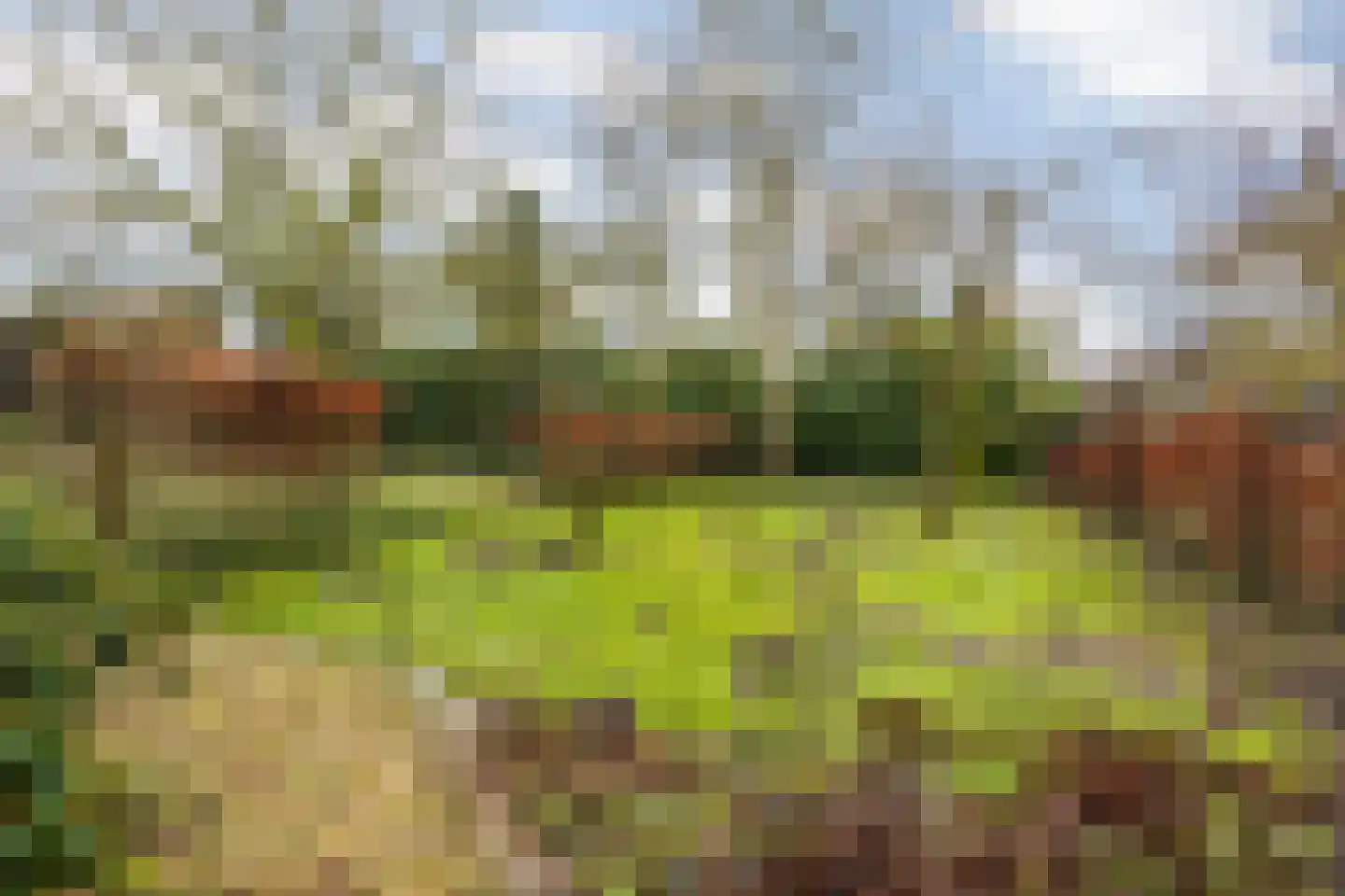 Molenstraat 46 Raamsdonk thumbnail 101