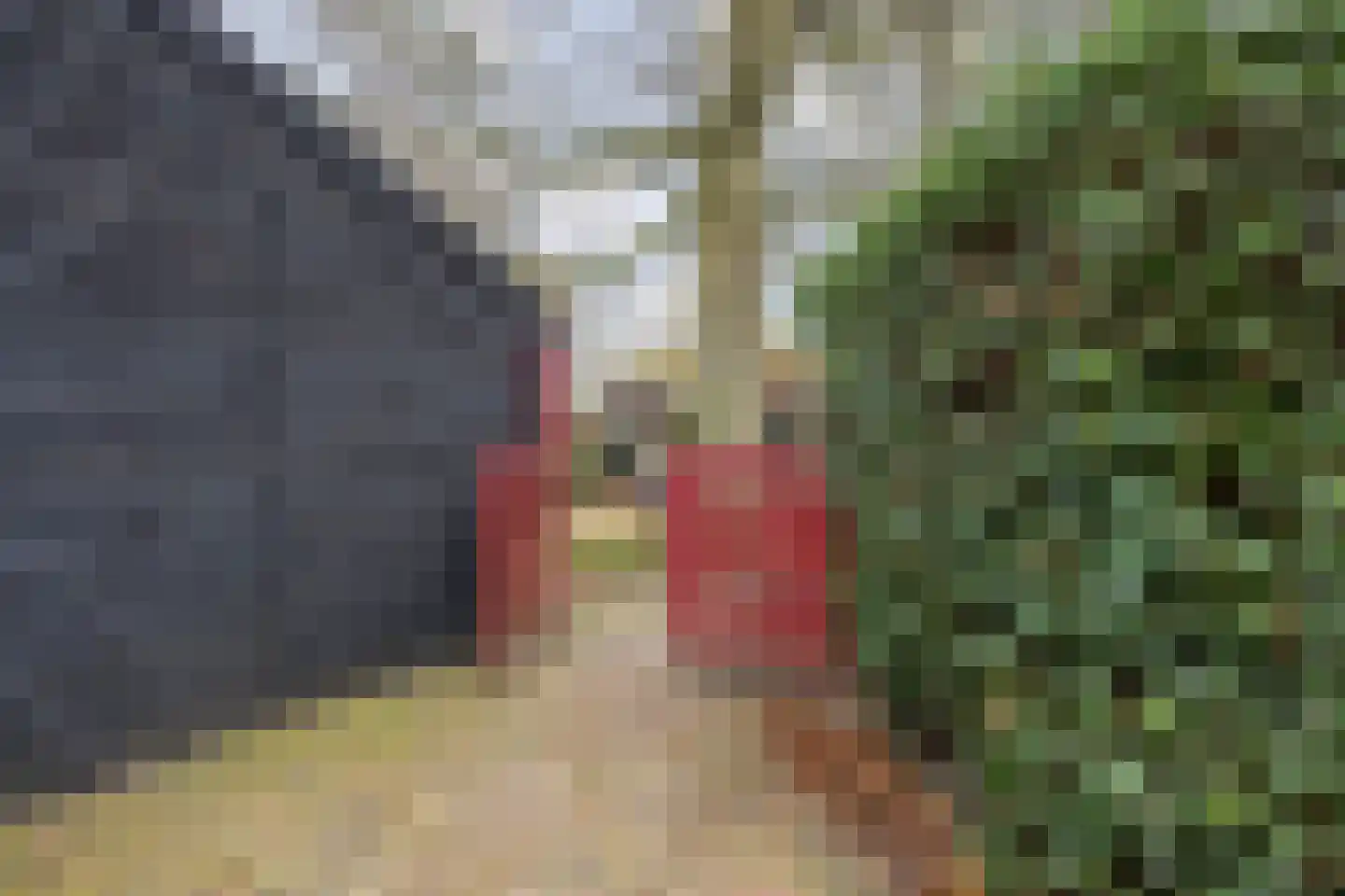 Molenstraat 46 Raamsdonk thumbnail 103