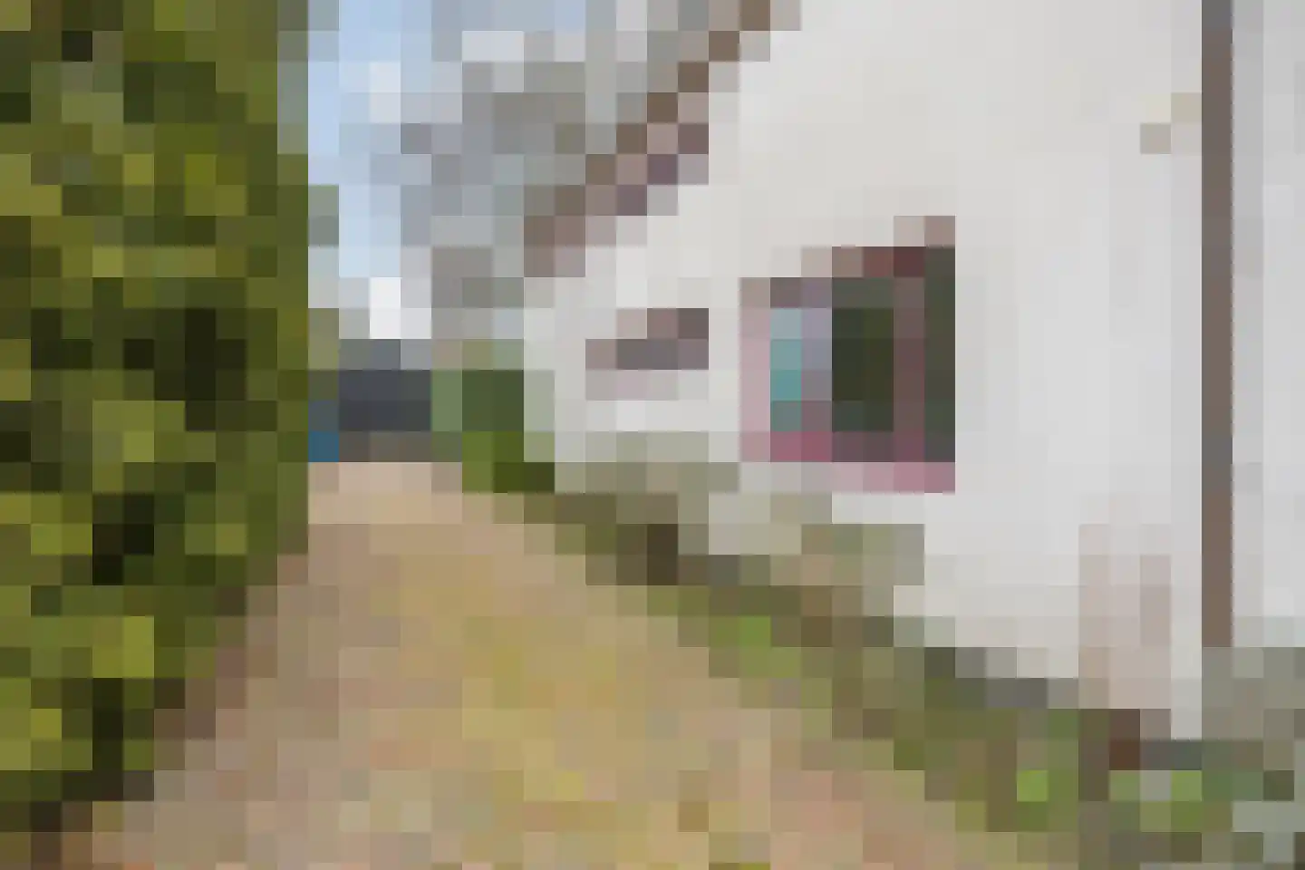Molenstraat 46 Raamsdonk thumbnail 104