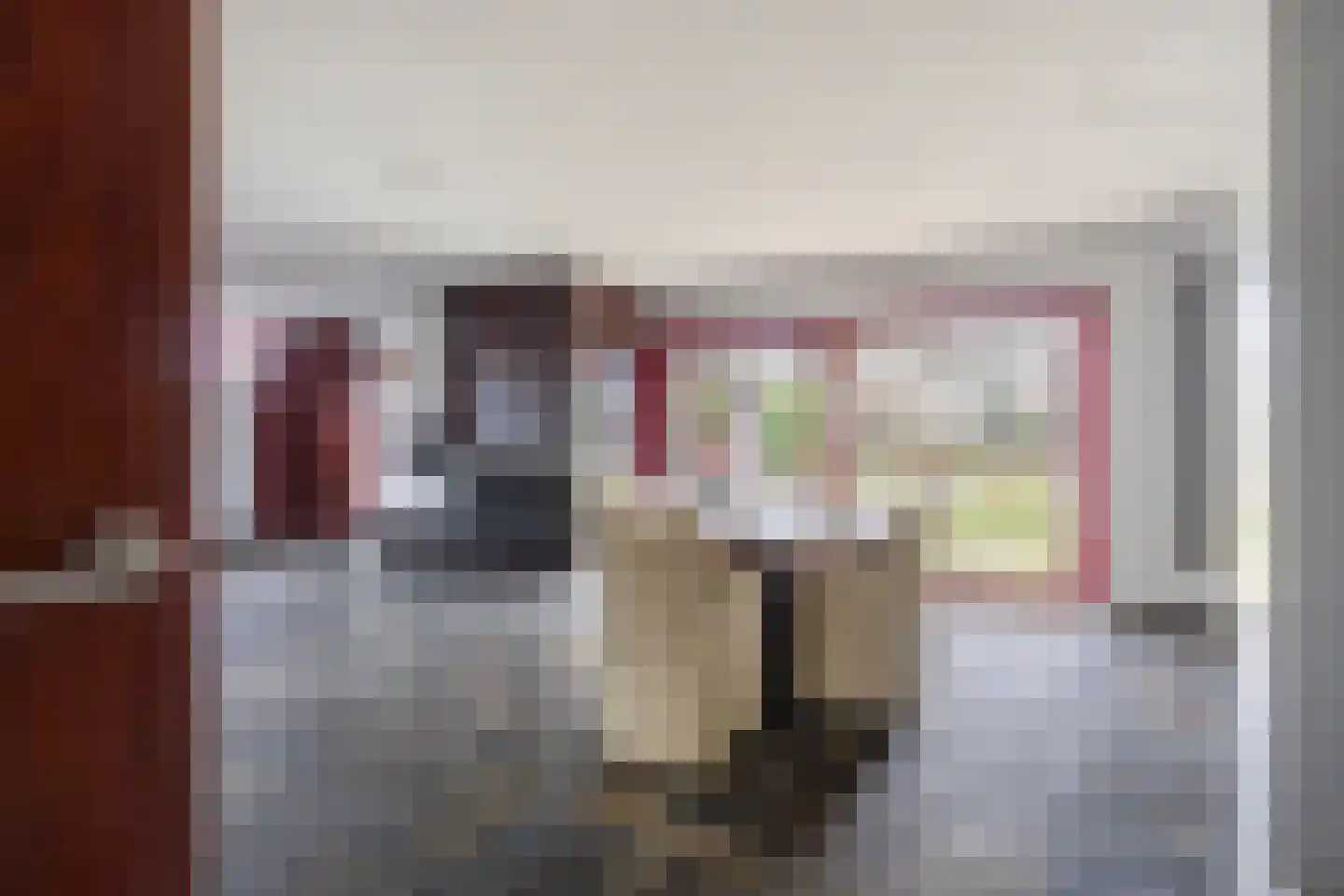 Molenstraat 46 Raamsdonk thumbnail 15