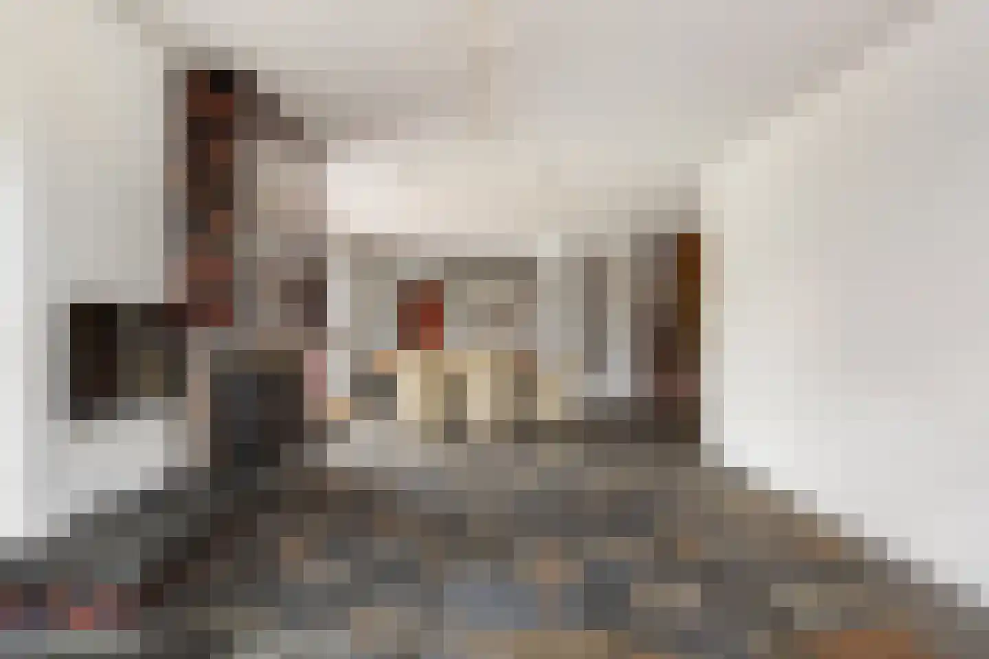 Molenstraat 46 Raamsdonk thumbnail 20