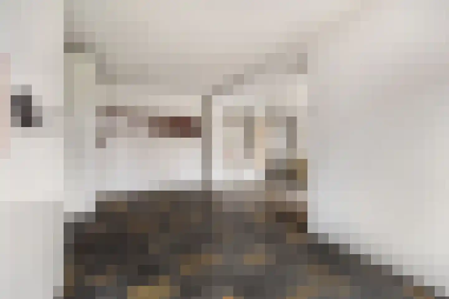 Molenstraat 46 Raamsdonk thumbnail 22