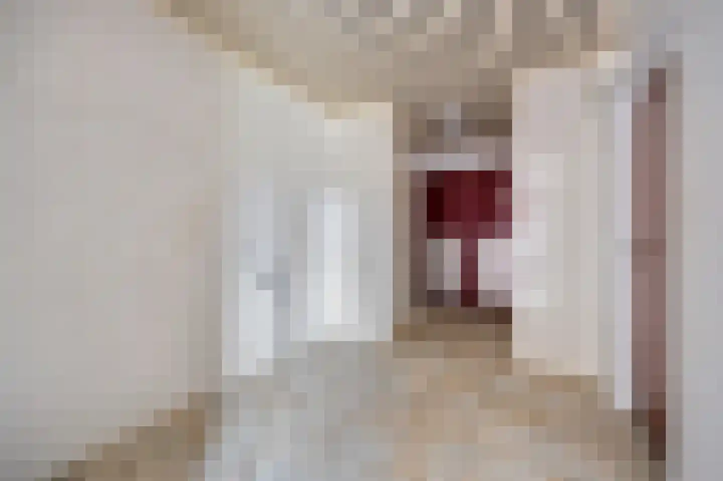Molenstraat 46 Raamsdonk thumbnail 25