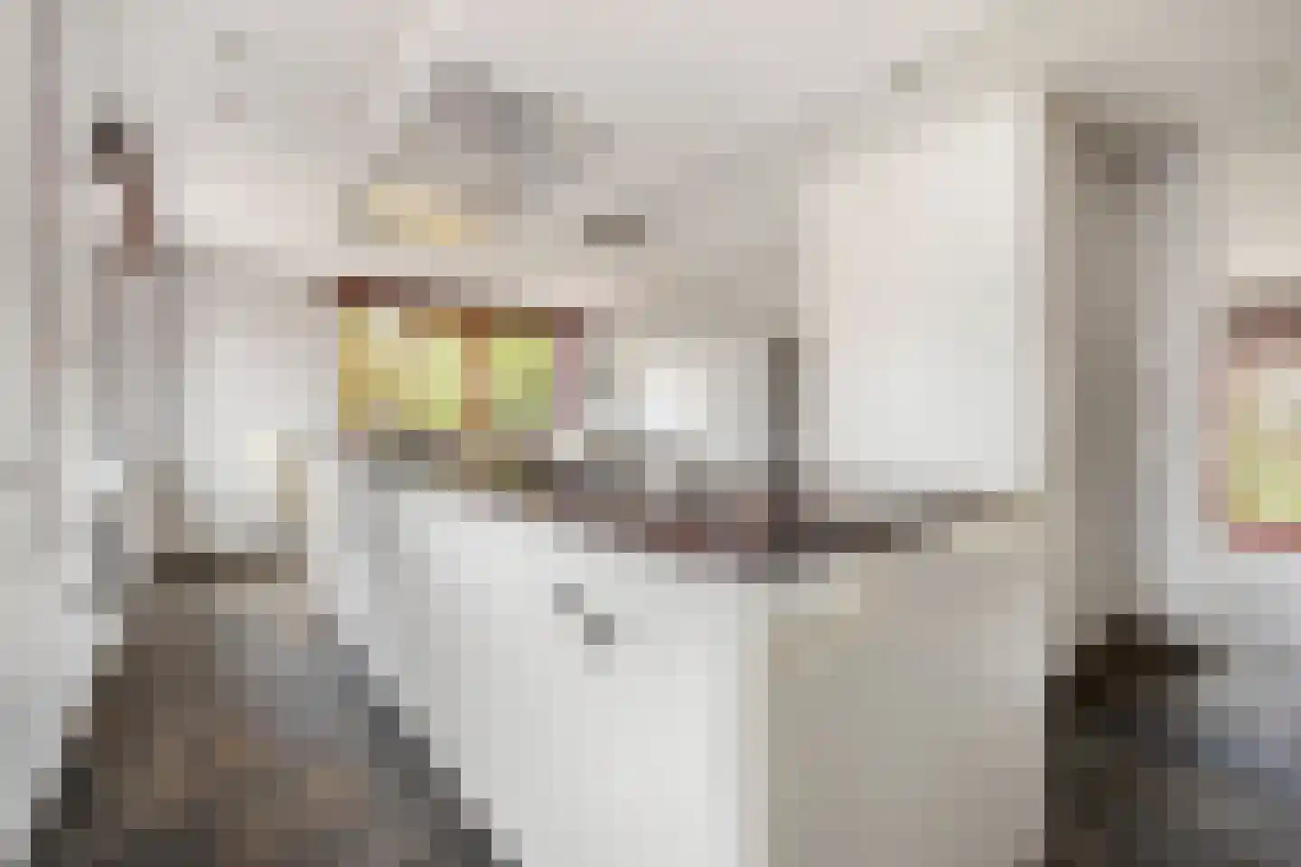 Molenstraat 46 Raamsdonk thumbnail 28