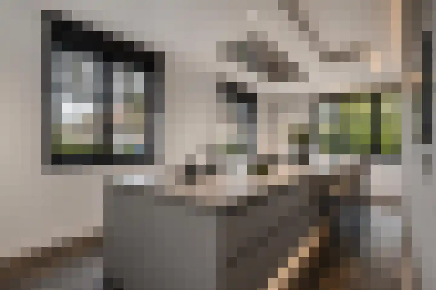Molenstraat 46 Raamsdonk thumbnail 30