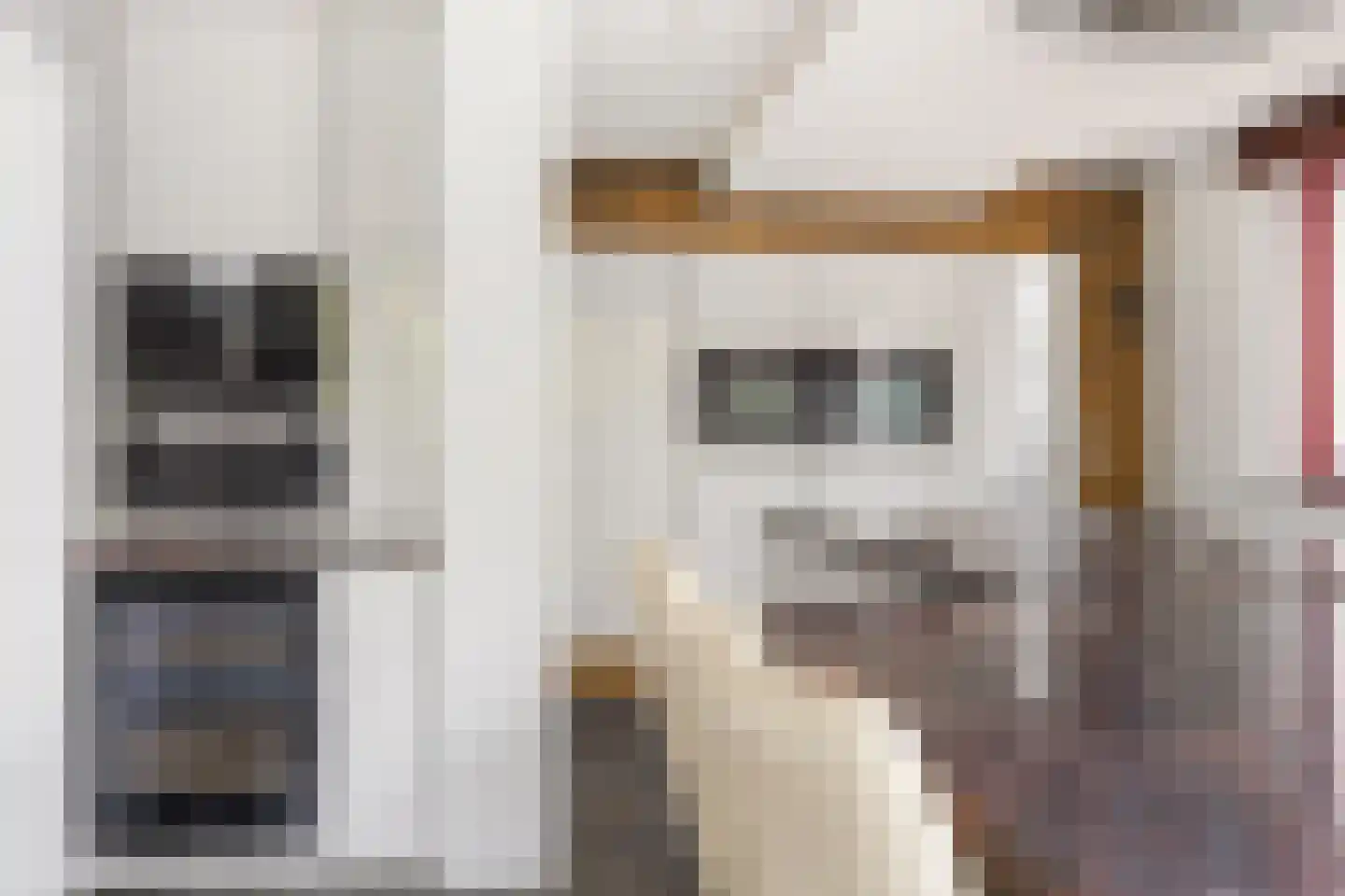 Molenstraat 46 Raamsdonk thumbnail 33
