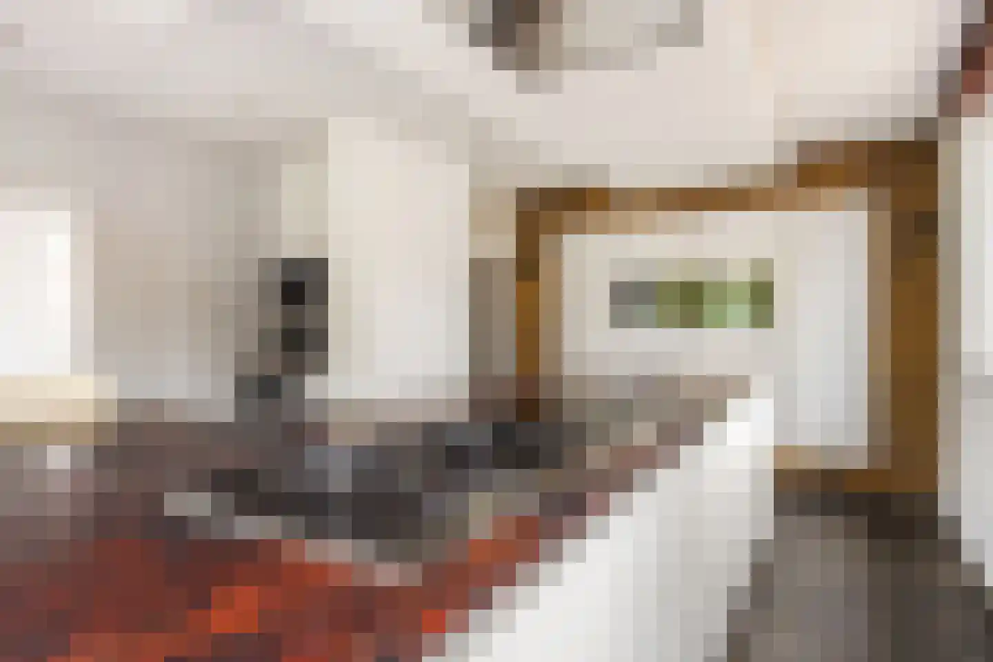 Molenstraat 46 Raamsdonk thumbnail 34