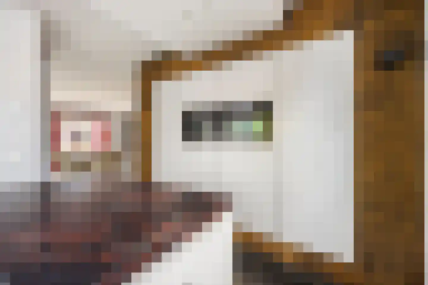 Molenstraat 46 Raamsdonk thumbnail 35