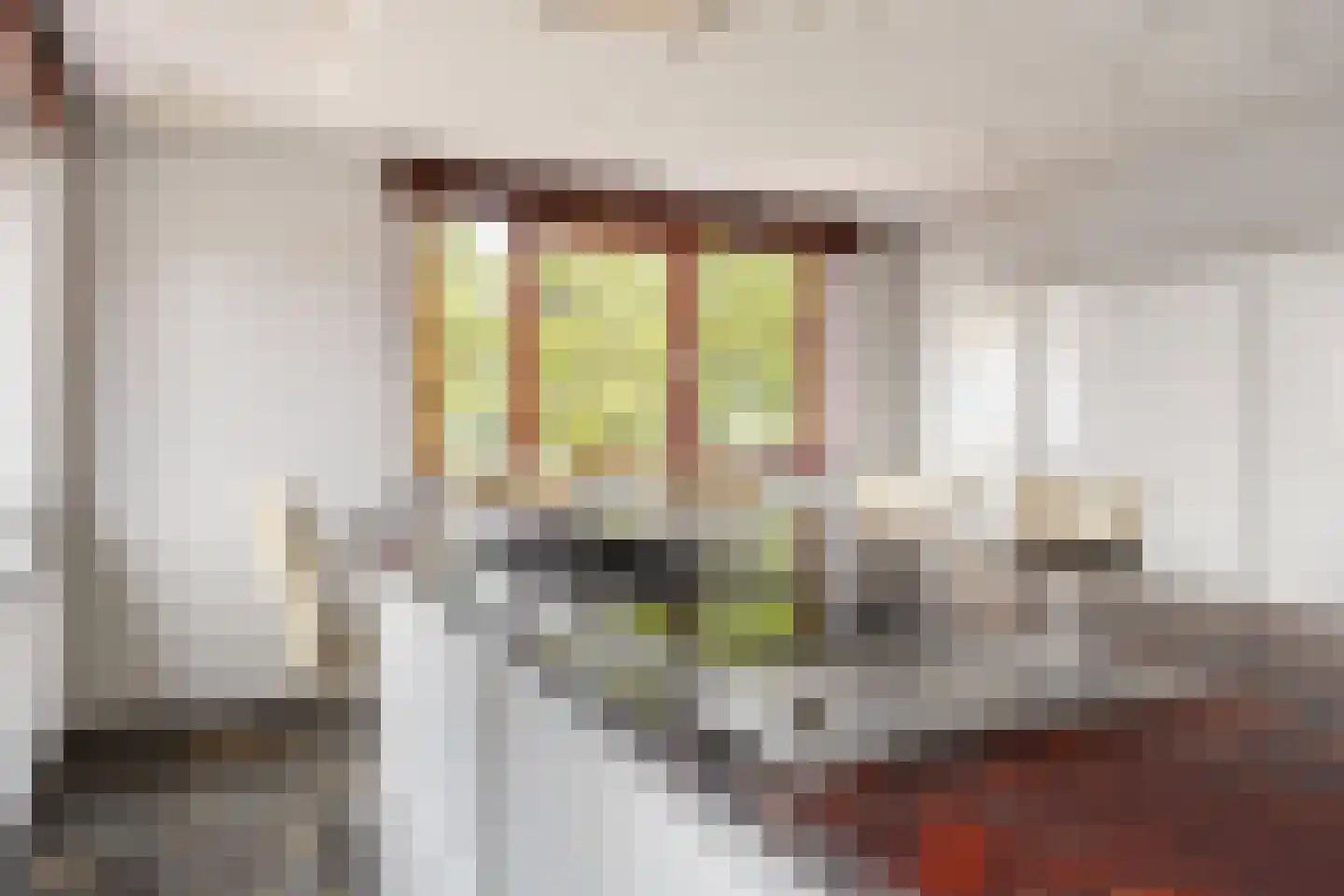 Molenstraat 46 Raamsdonk thumbnail 36