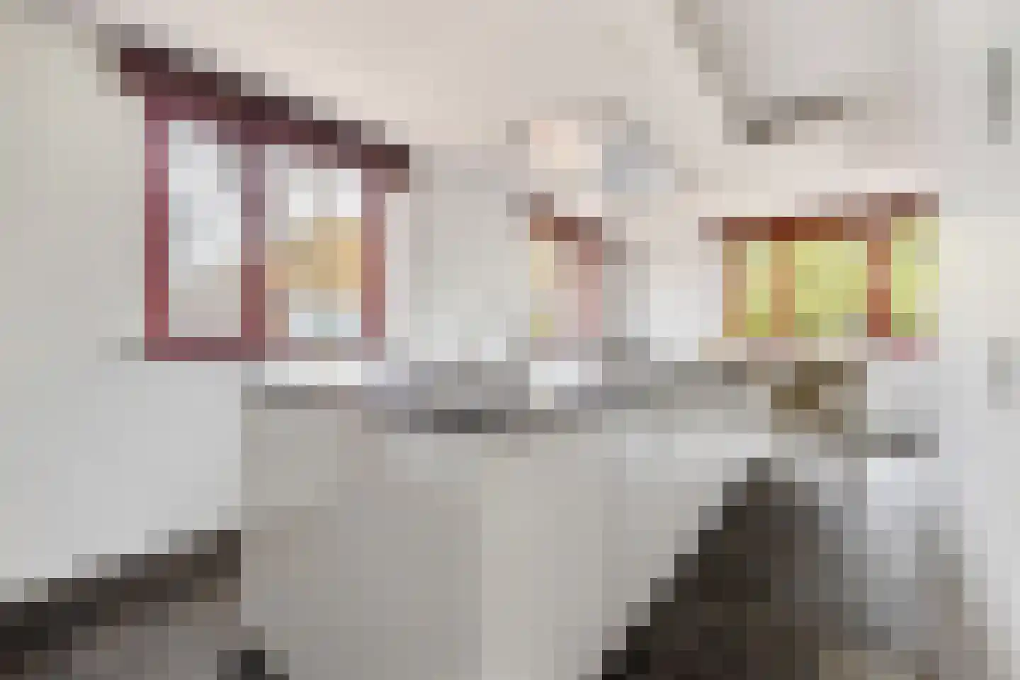 Molenstraat 46 Raamsdonk thumbnail 4