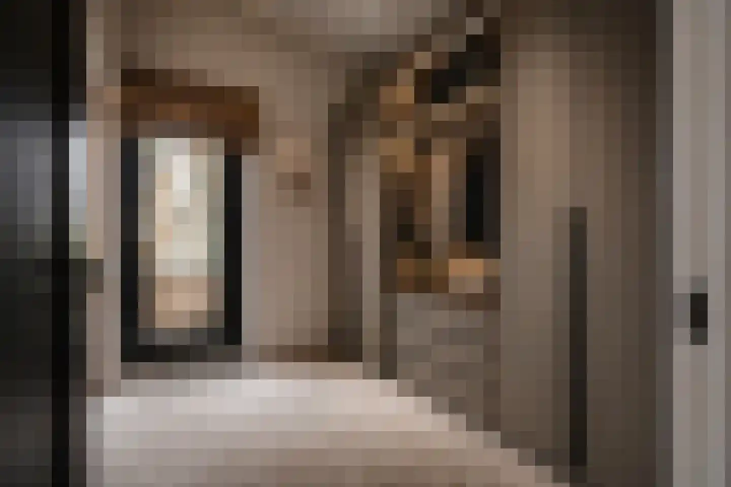 Molenstraat 46 Raamsdonk thumbnail 43