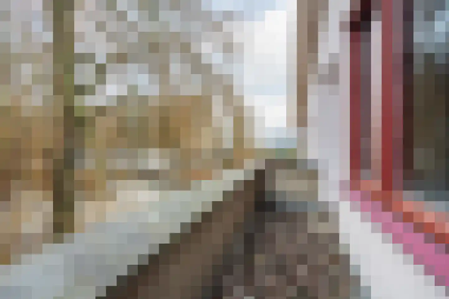 Molenstraat 46 Raamsdonk thumbnail 47