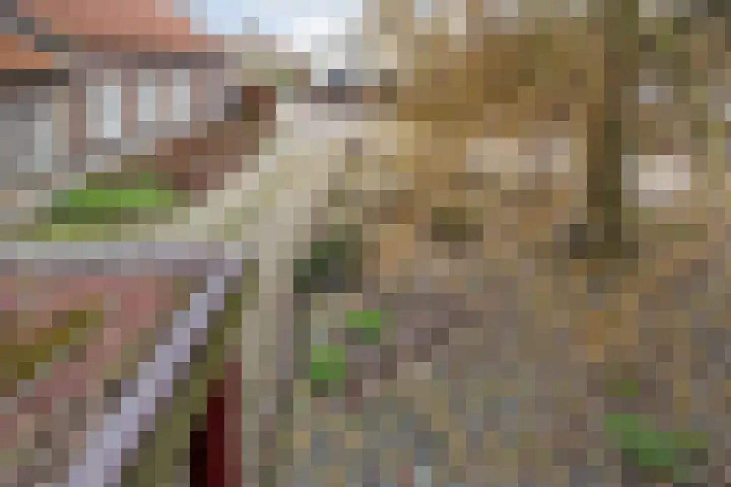 Molenstraat 46 Raamsdonk thumbnail 48