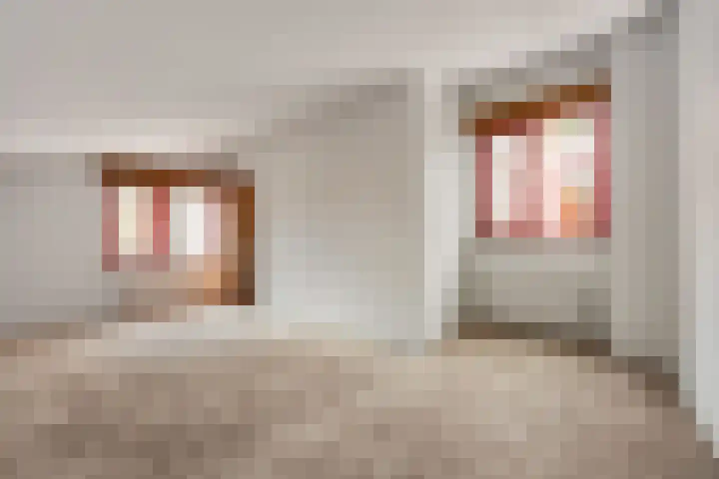 Molenstraat 46 Raamsdonk thumbnail 56