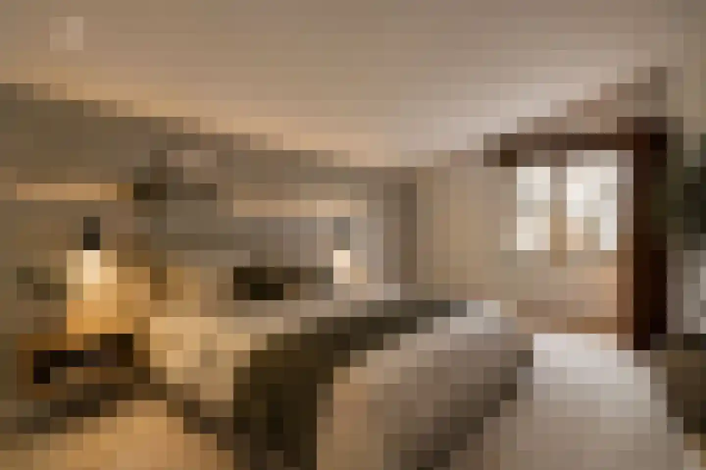 Molenstraat 46 Raamsdonk thumbnail 57