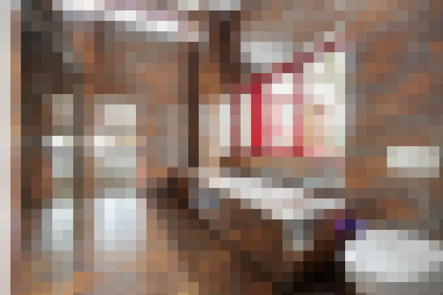 Molenstraat 46 Raamsdonk thumbnail 65