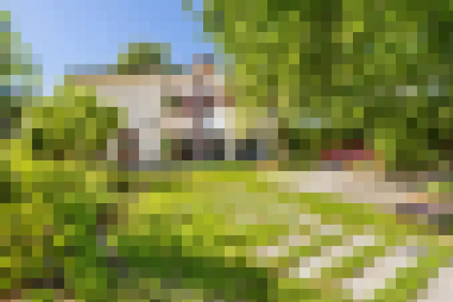 Molenstraat 46 Raamsdonk thumbnail 69