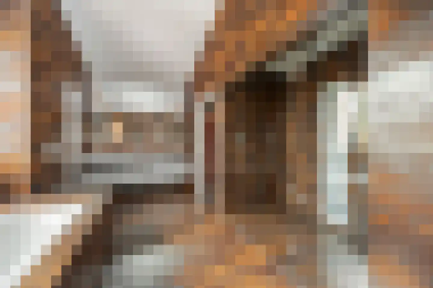Molenstraat 46 Raamsdonk thumbnail 69