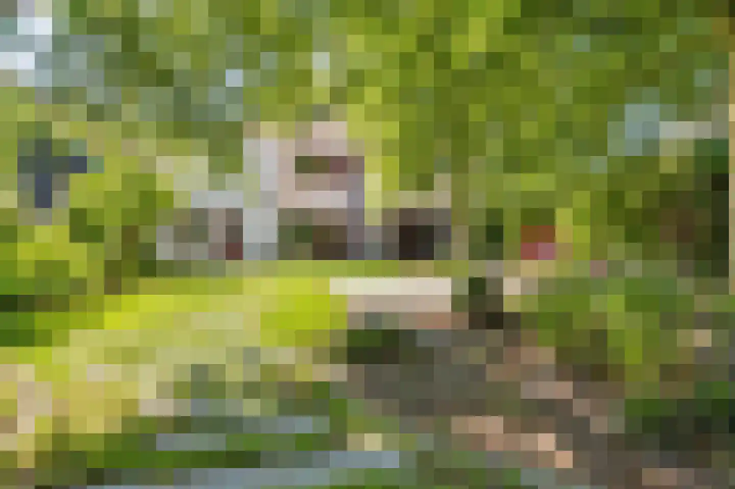 Molenstraat 46 Raamsdonk thumbnail 70