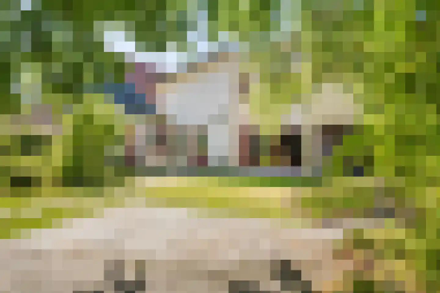 Molenstraat 46 Raamsdonk thumbnail 71