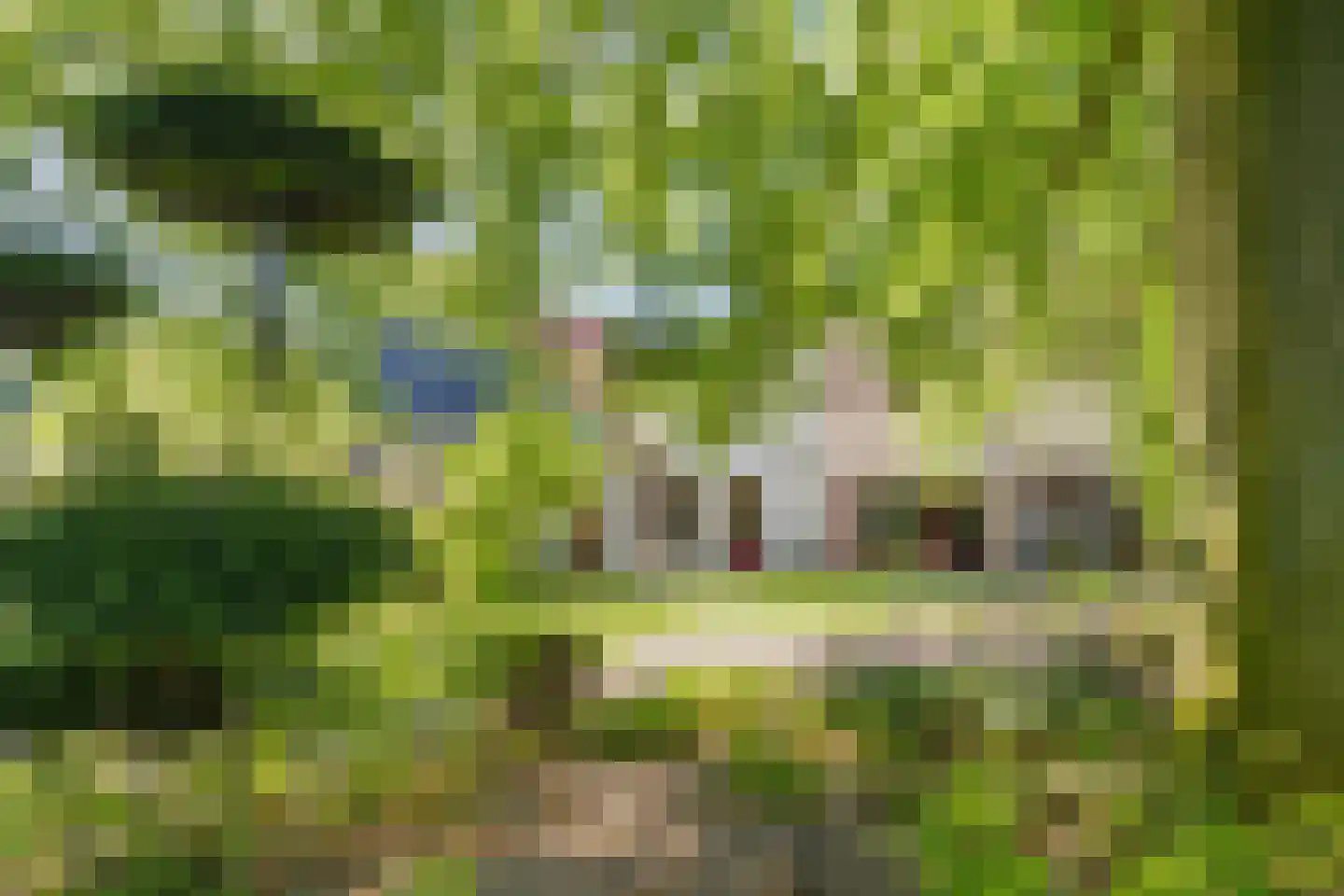 Molenstraat 46 Raamsdonk thumbnail 72
