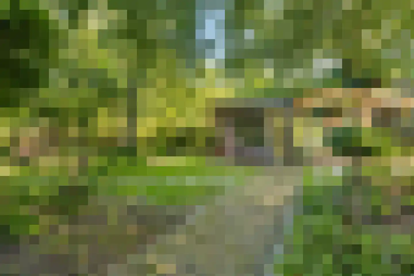 Molenstraat 46 Raamsdonk thumbnail 74