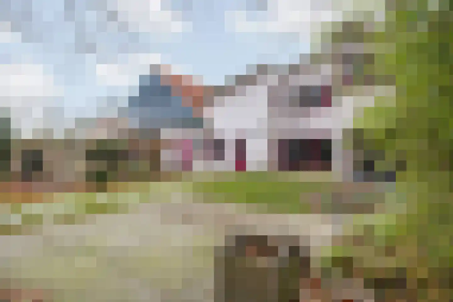 Molenstraat 46 Raamsdonk thumbnail 75