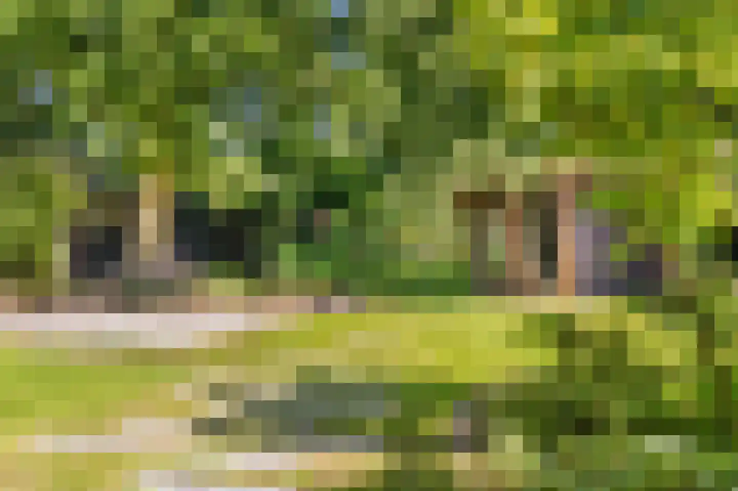 Molenstraat 46 Raamsdonk thumbnail 76