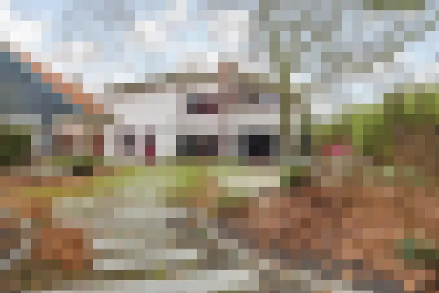 Molenstraat 46 Raamsdonk thumbnail 76