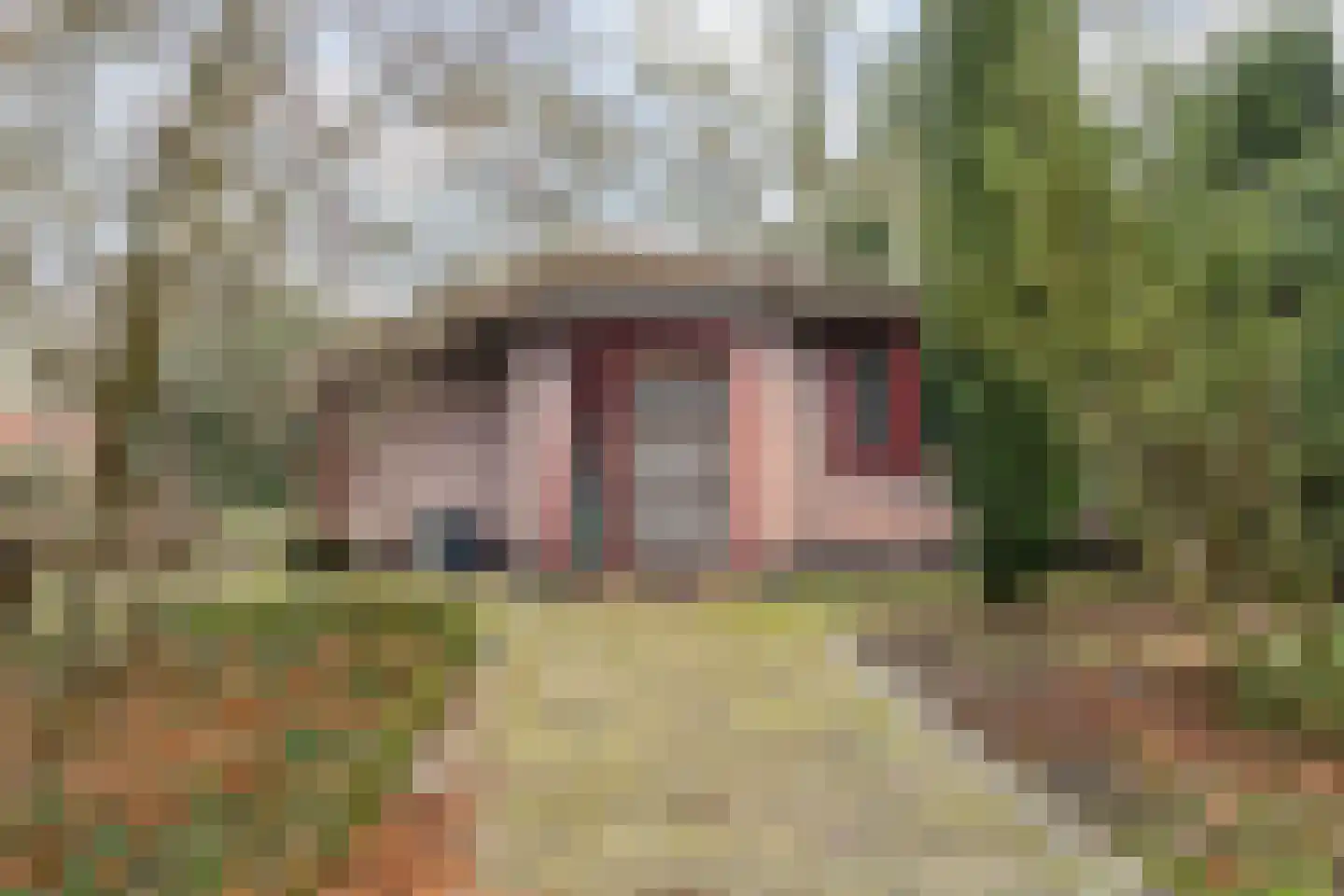 Molenstraat 46 Raamsdonk thumbnail 79