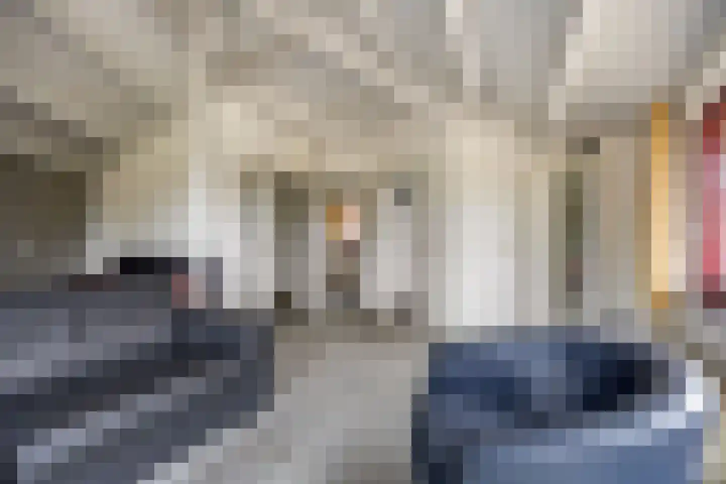 Molenstraat 46 Raamsdonk thumbnail 85