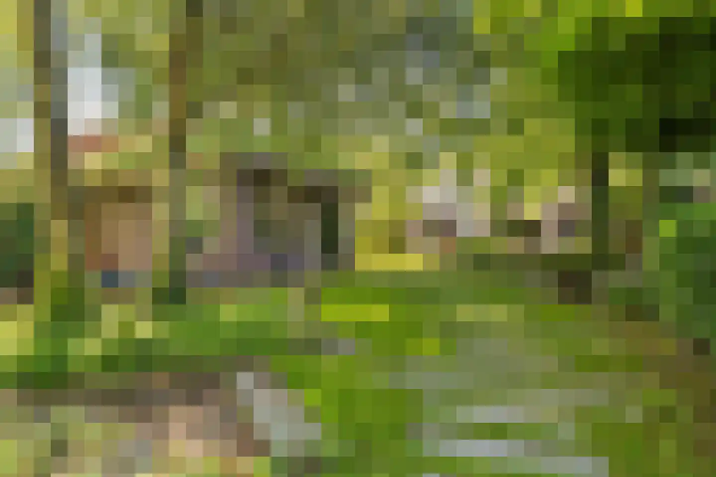 Molenstraat 46 Raamsdonk thumbnail 87