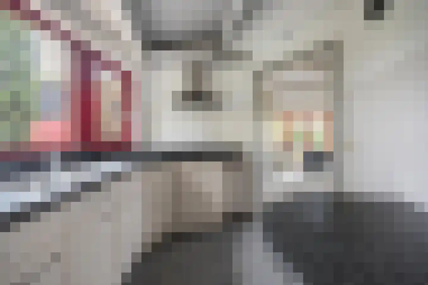 Molenstraat 46 Raamsdonk thumbnail 87