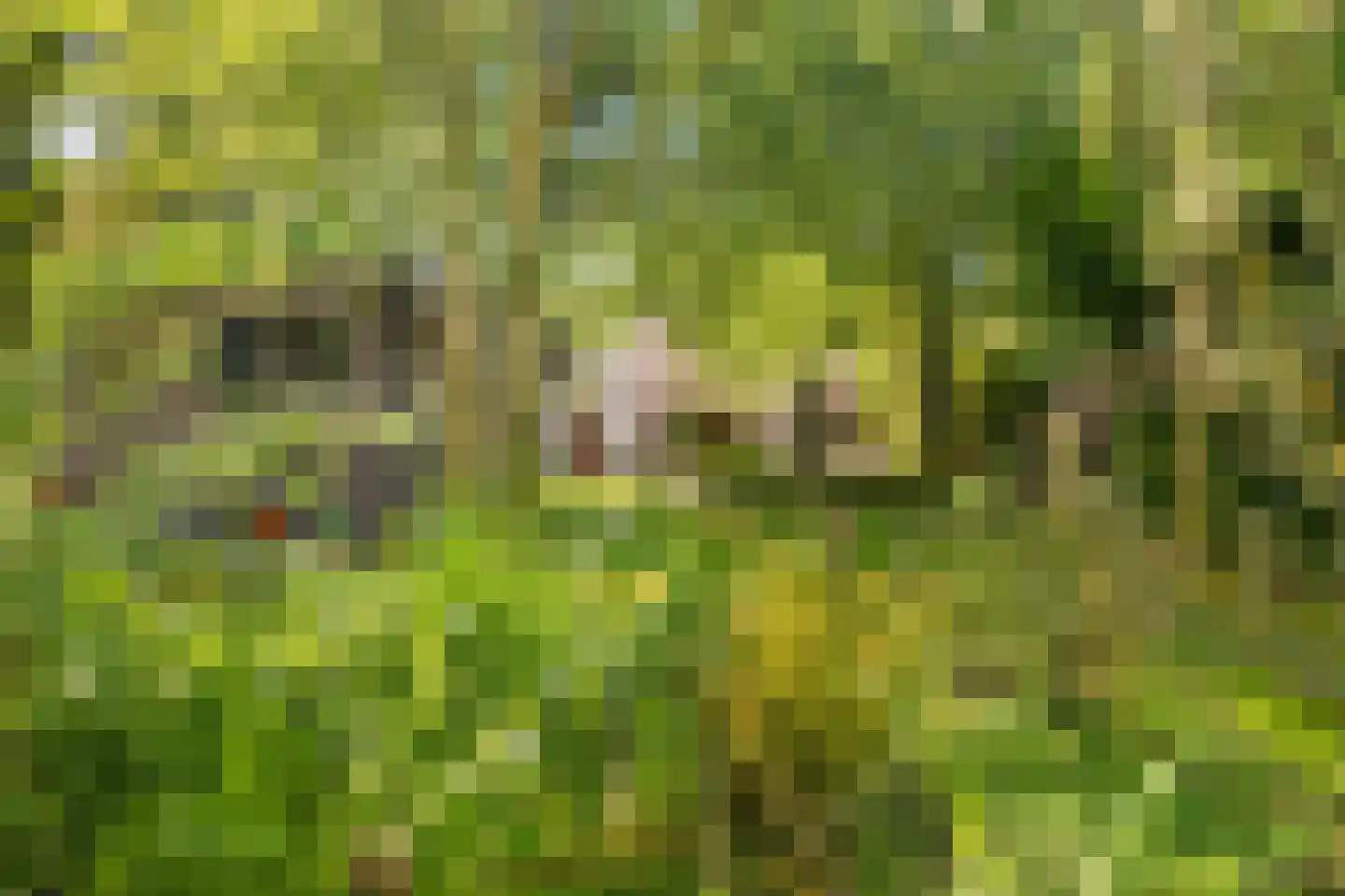 Molenstraat 46 Raamsdonk thumbnail 88