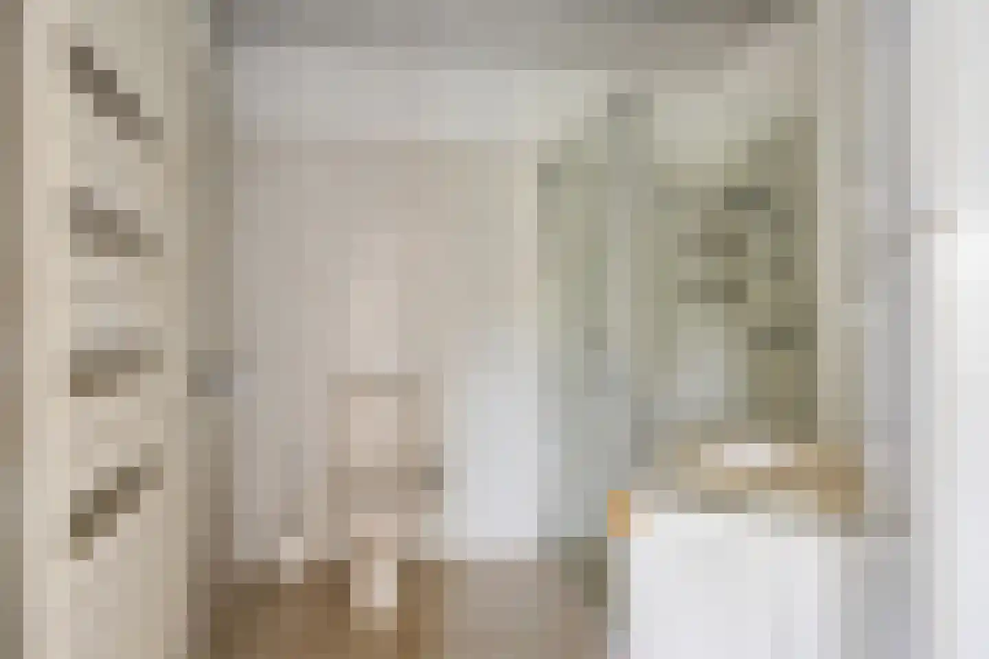 Molenstraat 46 Raamsdonk thumbnail 88