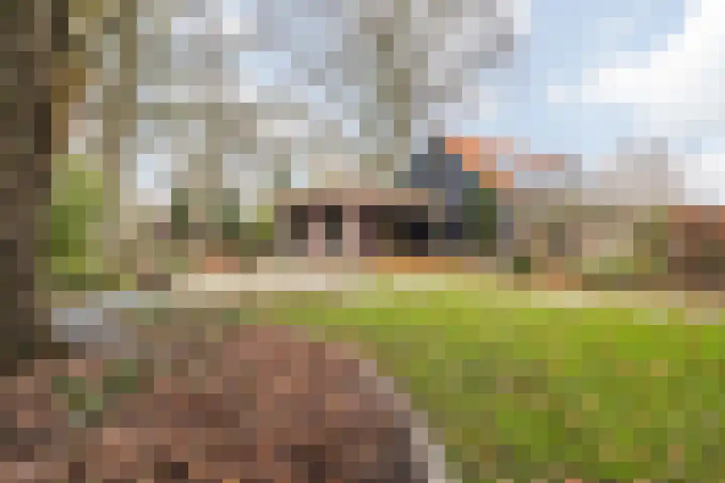 Molenstraat 46 Raamsdonk thumbnail 90