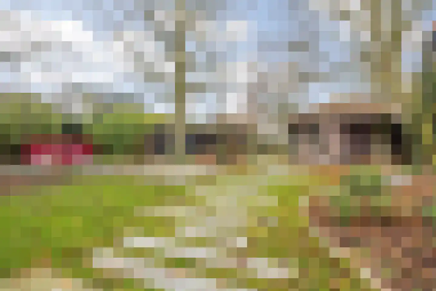 Molenstraat 46 Raamsdonk thumbnail 91