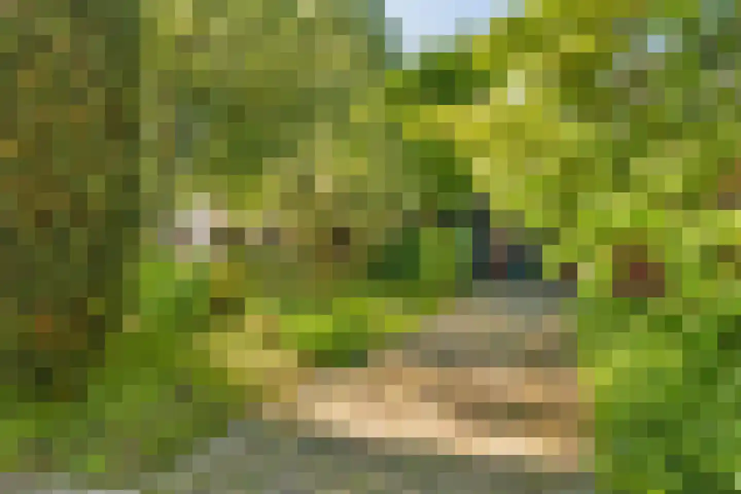 Molenstraat 46 Raamsdonk thumbnail 94