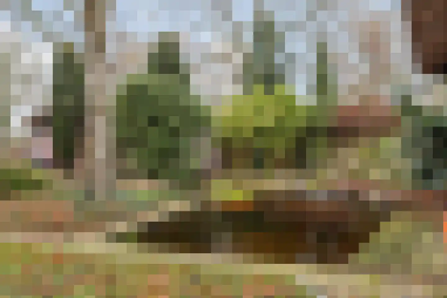 Molenstraat 46 Raamsdonk thumbnail 96