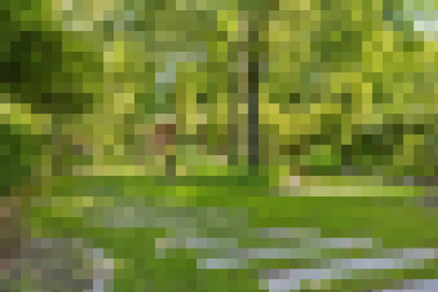 Molenstraat 46 Raamsdonk thumbnail 96