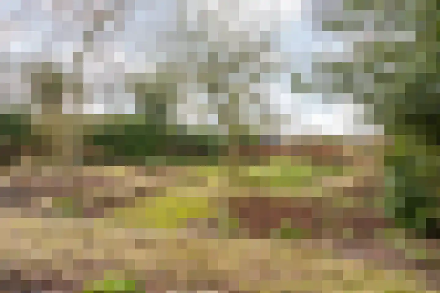 Molenstraat 46 Raamsdonk thumbnail 97